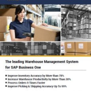 LISA WMS warehouse management system for SAP Business One