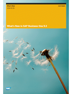 SAP Business One 9.3 New Features