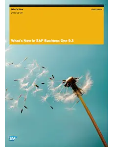 SAP Business One 9.3 New Features