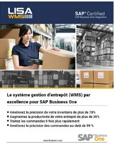 LISA WMS gestion d'entrepôt pour SAP Business One